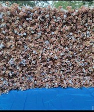 10ftx8ft Dusty Rose and Gold 5D Artificial Flower Wall Backdrop