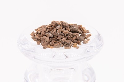 Tyrannosaurus Rex Bone  - 100% Pure & Natural