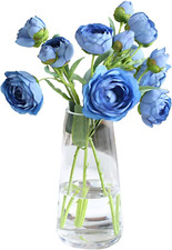 Vaso Trasparente, Vasi Vetro per Decorare La Stanza, 22Cm Fiore Vaso, Moderno Va