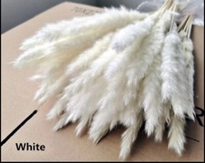 15PCS Natural Dried Pampas Grass 24 In. Reed Flower Wedding Bouquet Home Decors