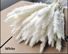 15PCS Natural Dried Pampas Grass 24 In. Reed Flower Wedding Bouquet Home Decors