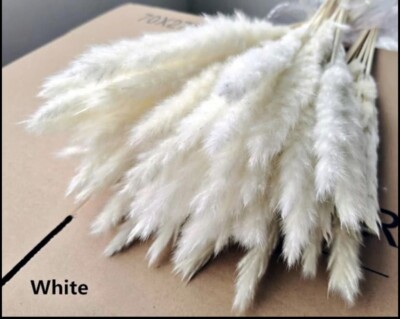 15PCS Natural Dried Pampas Grass 24 In. Reed Flower Wedding Bouquet Home Decors