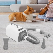 Asciugacapelli per animali domestici 220V bianco con touch screen led e 3 ugelli diversi
