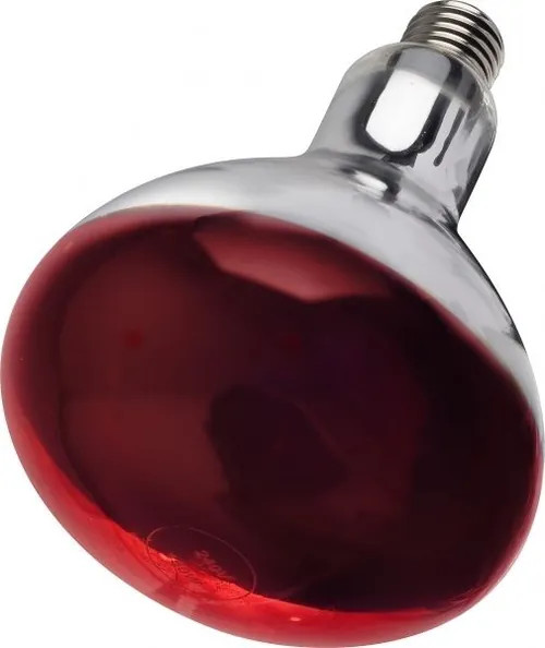 Tusk Intelec ES27 Hard Glass Infra-Red Animal Heat Bulb Red - 250w