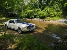 1966 Ford Mustang for Sale
