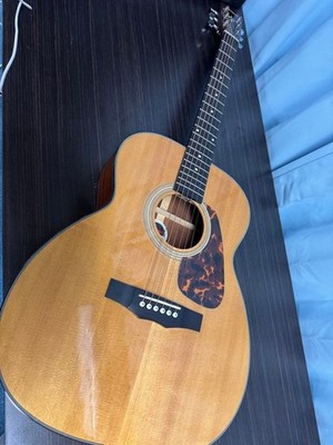 Acoustic guitar Morris F351