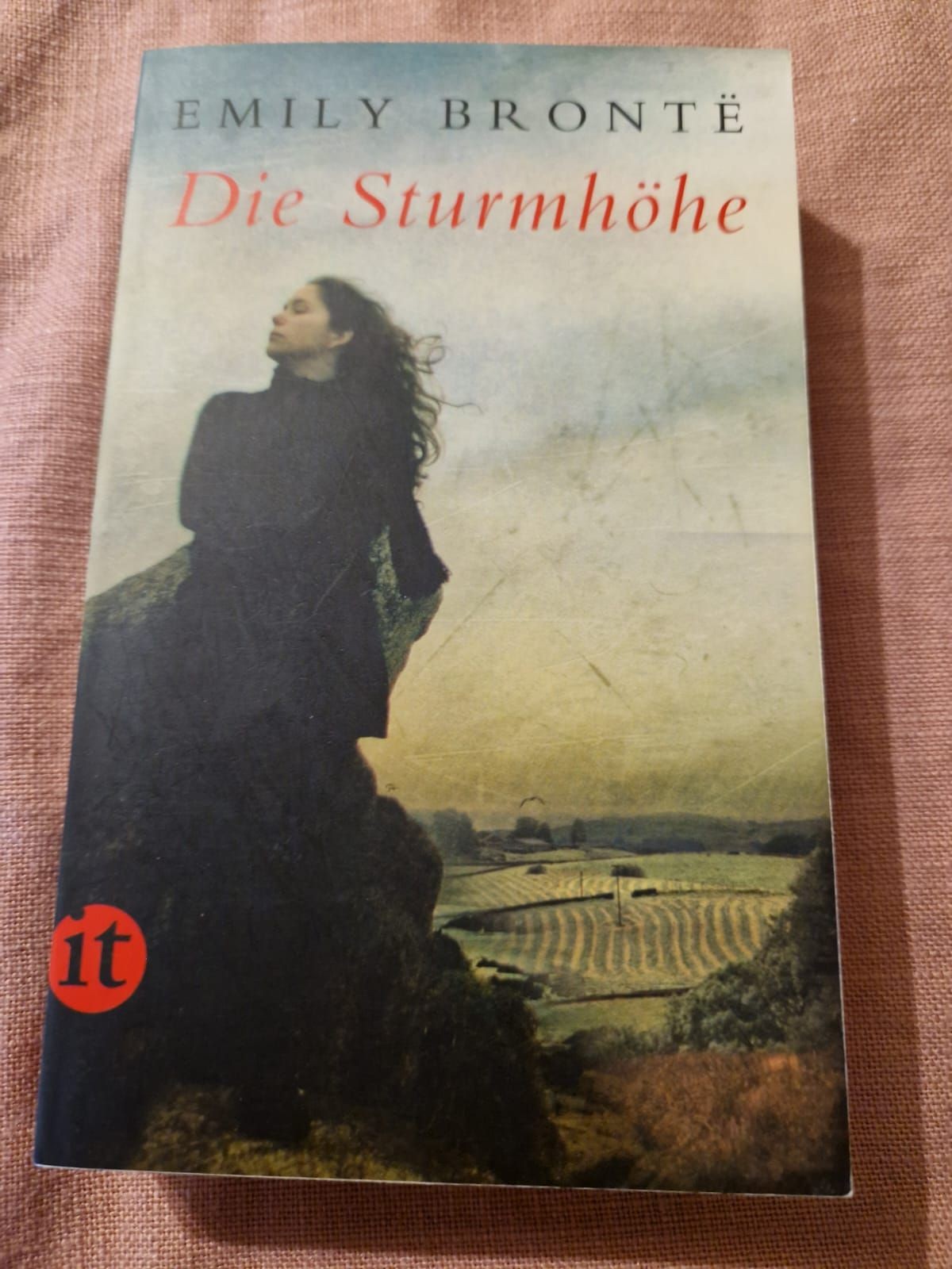 Die Sturmhöhe Roman Brontë, Emily und Grete Rambach: - Emily Brontë