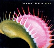 Open von Cowboy Junkies | CD | Zustand sehr g...
