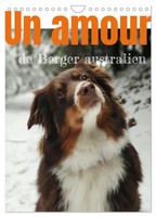 Sandra Brandstetter | Un Amour De Berger Australien (Calendrier Mural 2026...