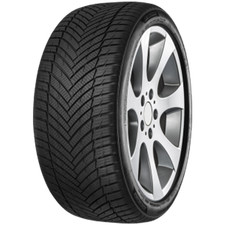 MINERVA Ganzjahresreifen 225/55 R17 TL 97W AS MASTER BSW M+S 3PMSF Allwetter