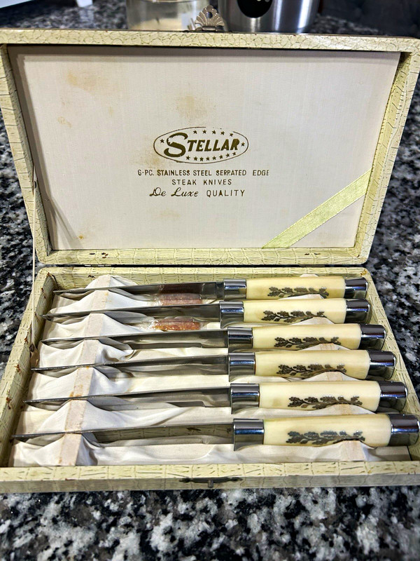 Stellar 6-Pc Stainless Steel Serrated Steak Knives Set w/ Case Ivory Floral