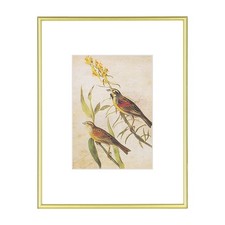 9x12 Gold Picture Frame 1Pack, Fits 6x8 Mat, Tabletop & Wall Mount | Brushed ...