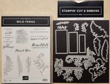 Stampin Up STAMP/DIE SET BUNDLE  WILD FERNS  USED- PRETTY DETAILED FRAME DIES 