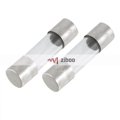 100 Pieces Fast Blow 1.6A 250 V Glass Tube Fuses 5mm x 20 mm 0.197  x 0.787  Kd 