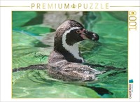 Calvendo Puzzle Humboldtpinguin | 1000 Teile Lege-GrößE 64 × 48 Cm Foto-Puzzle F