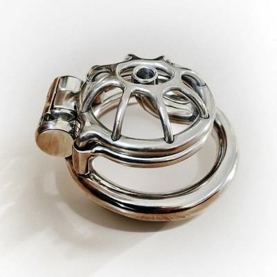 Sissy Male Chastity Cage Device with Lock Men Custom PA Piercing Ring for CBT