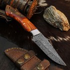8.2" Clip Point Knife Damascus Steel Hunting EDC Full Tang Blade Resin Handle — photo 6