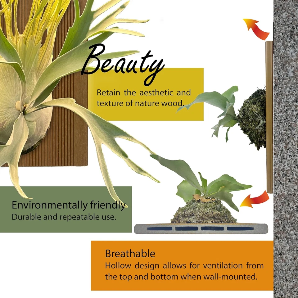 Staghorn Fern Mounting Board, Wall Planter, Hanging Planter, WPC Board, Ideal fo - Image 3 of 4