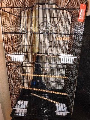 Prevue Hendryx Large Black Metal Playtop Bird Cage for Parrots