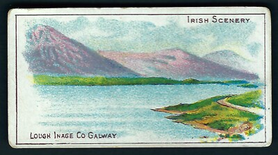 GOODBODY - IRISH SCENERY (FURZE BLOSSOM) - LOUGH INAGE CO GALWAY