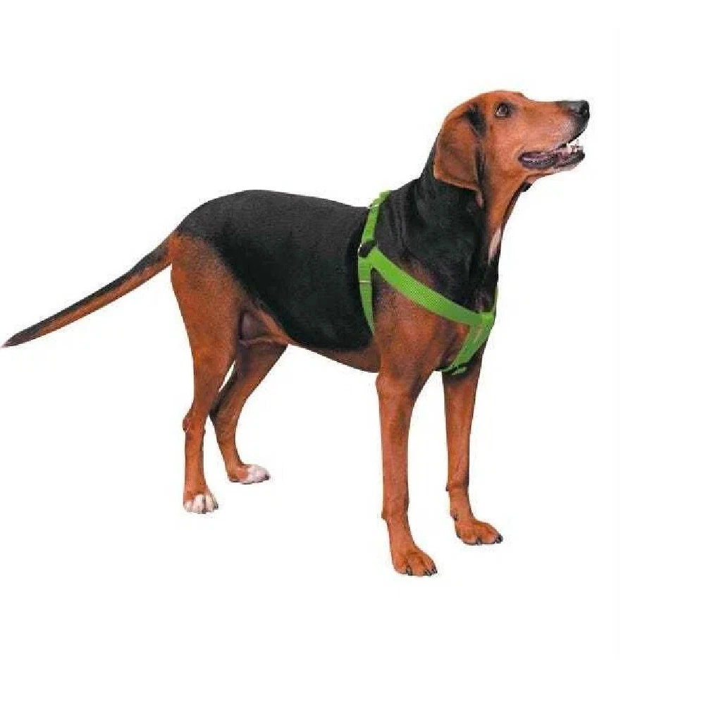 Dog Harness Easy to Use 2 Step Secure Safe Comfortable Firm No Struggle Control