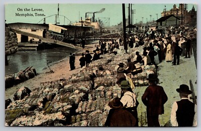 On the Levee Memphis Tennessee TN c1910 Postcard