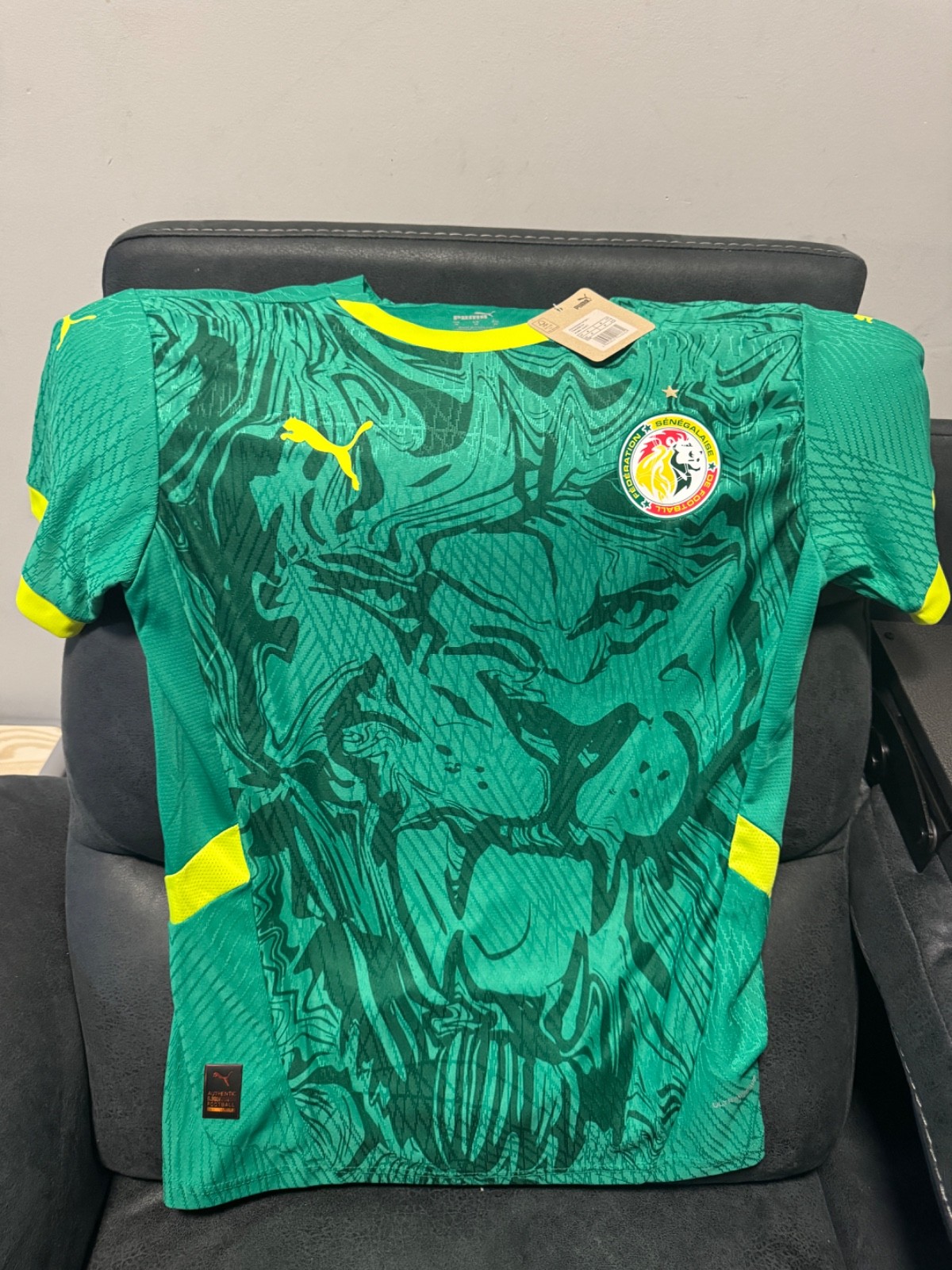Senegal soccer jersey