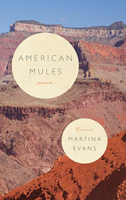 American Mules - Paperback / softback NEW Evans, Martina 29/04/2021