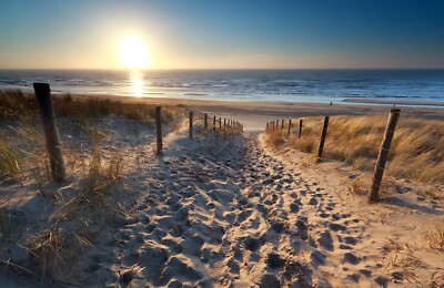 Fototapete VLIES-SANDSTRAND-(5809S)-Tapete Sonne Dune Ozean XXL