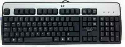 HP Wired KB-0316 Tastatur - QWERTY - Full Size - Schwarz & Silber