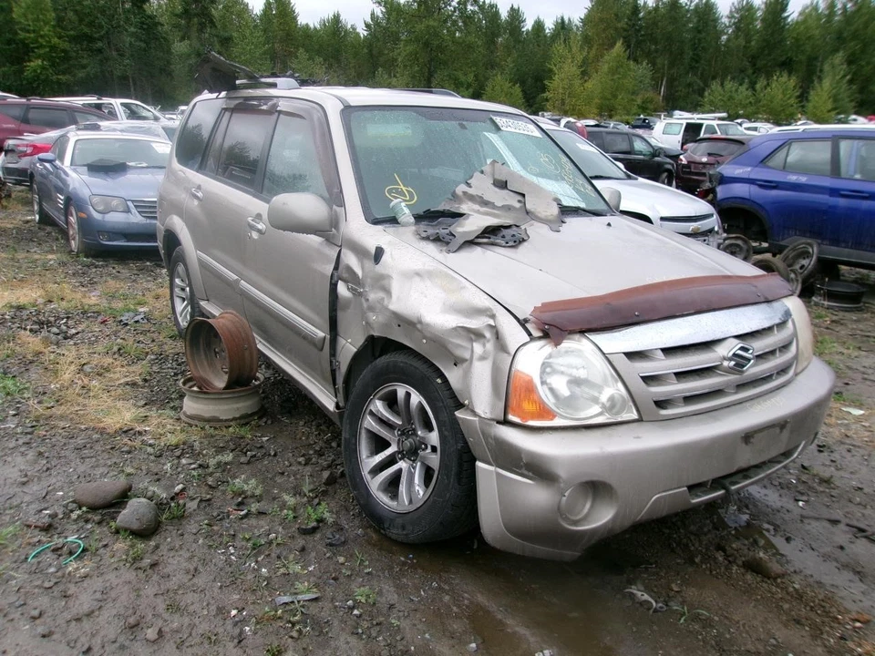 Used Rear Left Door Assembly Rear Side fits: 2005 Suzuki Vitara XL-7 Rear Left G Foto 4 de 4