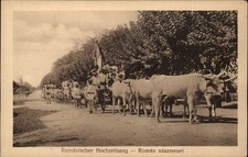Romanian Wedding Procession Hermannstadt Transylvania Romania postcard y827