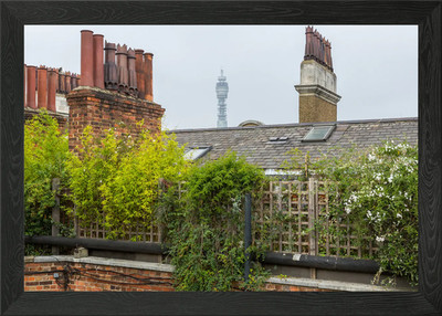 Rooftop Garden with BT Tower View Gerahmtes Wandbild Poster Leinwanddruck Bild