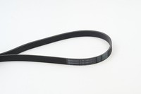 Continental Ctam Keilrippenriemen 6PK1693