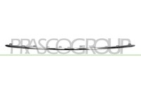 Prasco Zier-/Schutzleiste StoßFäNger Hinten FüR Audi A6 4G2 C7 4GC
