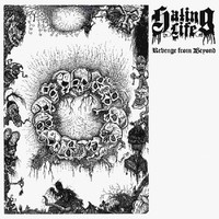 Hating Life - Revenge From Beyond - Vinyl Record Mlp - G3Z