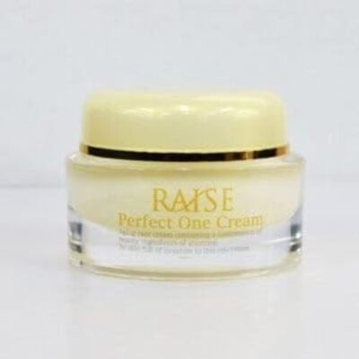 New RAISE Perfect One Cream 50g Active FGF from Japan | eBay