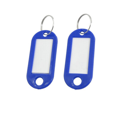 Factory Blue Plastic Mini Holder ID Key Labels Tags Keyring
