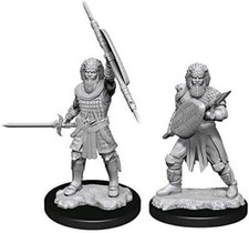 WizKids WZK 90144: Dungeons Dragons Nolzur's Marvelous Unpainted Miniatures: