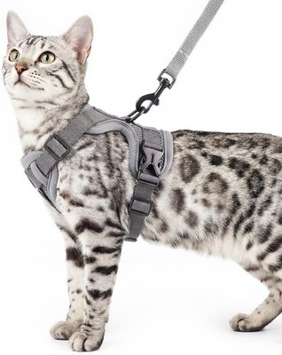 Cat Harness Leash Set Escape Proof Adjustable Soft Mesh Reflective Cat Vest