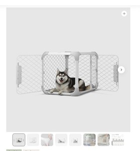 Diggs Evolv Dog Crate Medium White