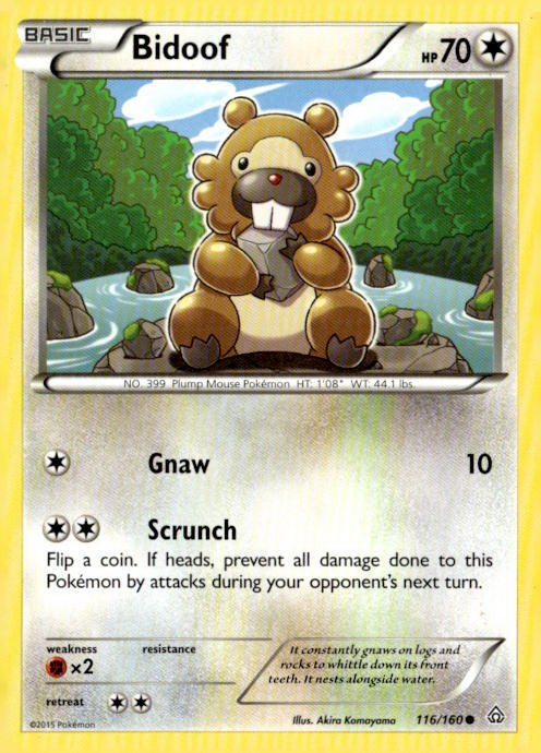 Kalos Starter Set #29/39 Bidoof