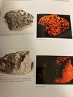 Collecting Fluorescent Minerals — photo 7