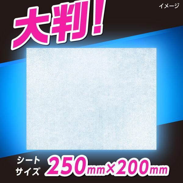 Biore Body Sheet Für Männer – 28 Feuchtigkeitstücher, Skin Care Typ