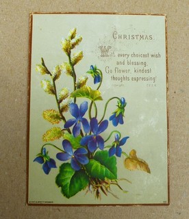 ORIGINAL VICTORIAN RELIGIOUS CHRISTMAS CARD VIOLETS PUSSY WILLOW E &S 1882