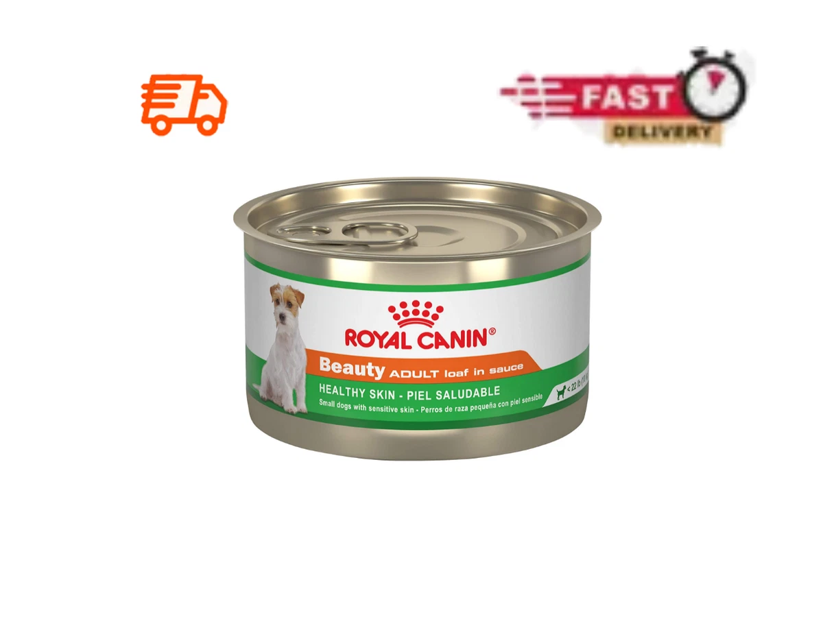 NEW Royal Canin Canine Health Nutrition Beauty Adult Loaf in Sauce Canned  Dog Fo | eBay
