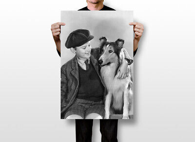 Turner Classic Movies: TCM - Roddy McDowall in LASSIE COME HOME