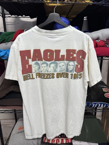 EAGLES Hell Freezes Over World Tour Shirt Giant 1990s vintage concert t-shirt, vintage, size L, single stitch, B+ condition