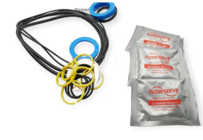 Flowserve 30-ARK40-0S Reparatursatz