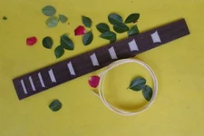 Rosewood Guitar Fretboard for 22fret guitar Neck 24.75inch Luthier Supply